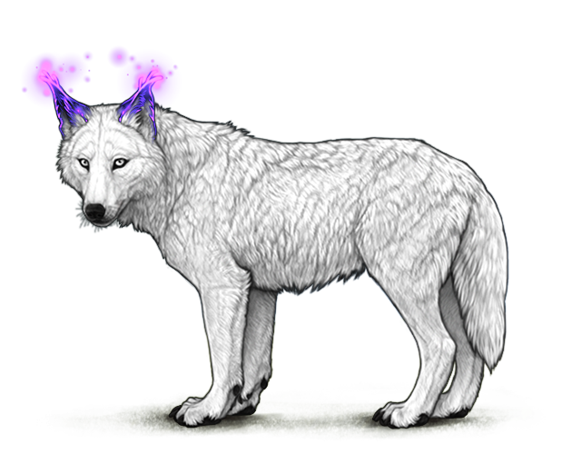 File:Purplesporeears preview.png