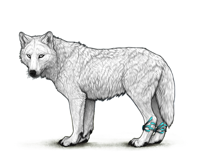 File:Cnithariananklets preview.png