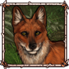 File:Dhole.png