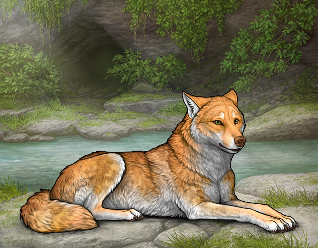 File:Rafflestud yugen.png