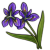 File:Crop giant-blue-iris-purple.png
