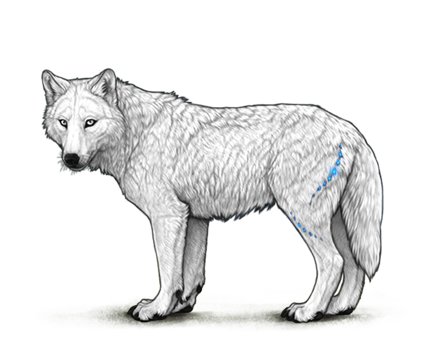 File:Lunargentleaccents hind preview.png