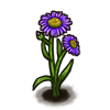 File:Flower fleabane-lavender.png