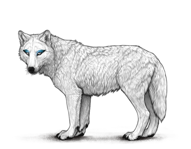 File:Makeupsmokeyeyelunar preview.png