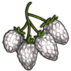 File:Crop blackberry-white.png