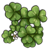 File:Redwoodsorrel.png