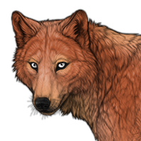 File:Base rust headshot.png