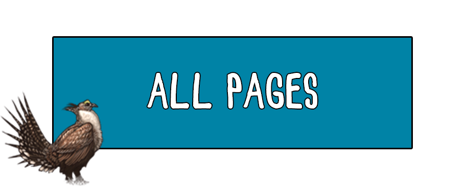 All Pages