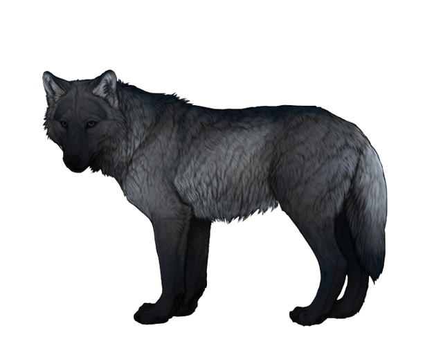 File:Base grulla preview.png