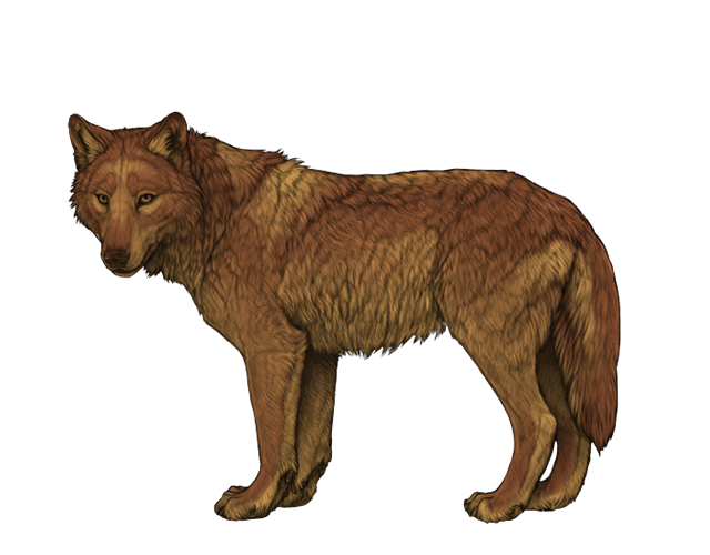 File:Base sepia preview.png