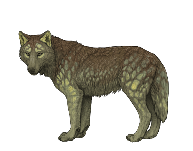 File:Base kin preview.png