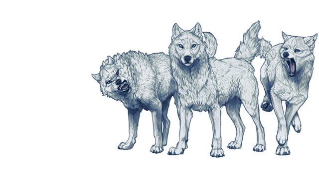 File:Arcticwolfpacknight.png