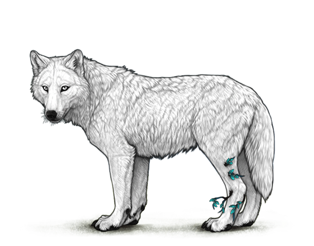 File:Dreamlandbranchovergrowthbacklegs preview.png