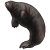 File:Seal.png