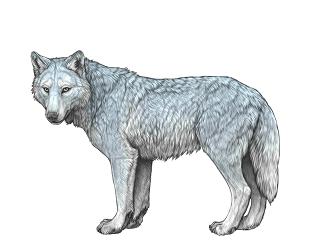 File:Base sky preview.png