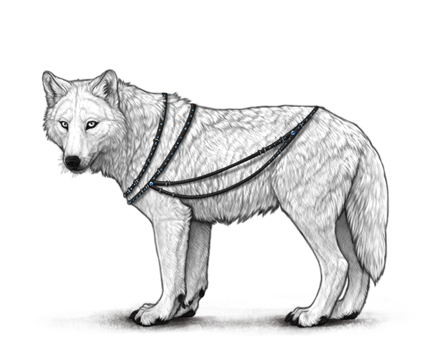 File:Sporebeadedbodywrap preview.png