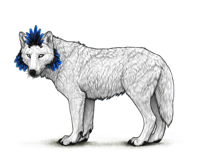 File:Volukrosgentlefeathershead preview.png