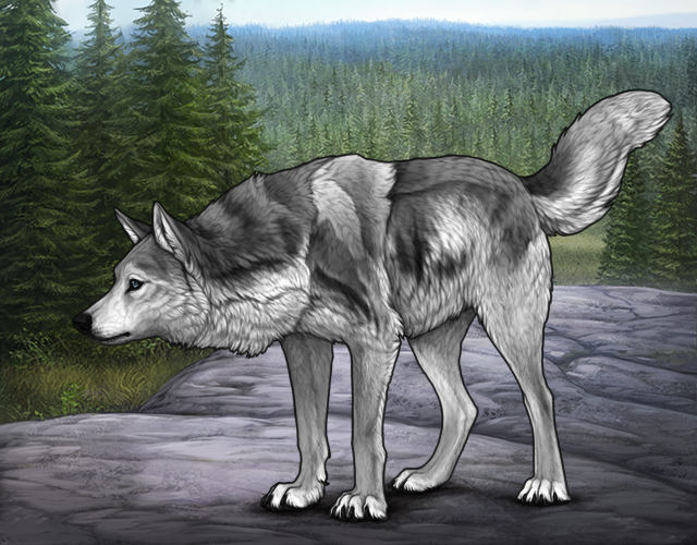 File:Rafflestud pyxis.png