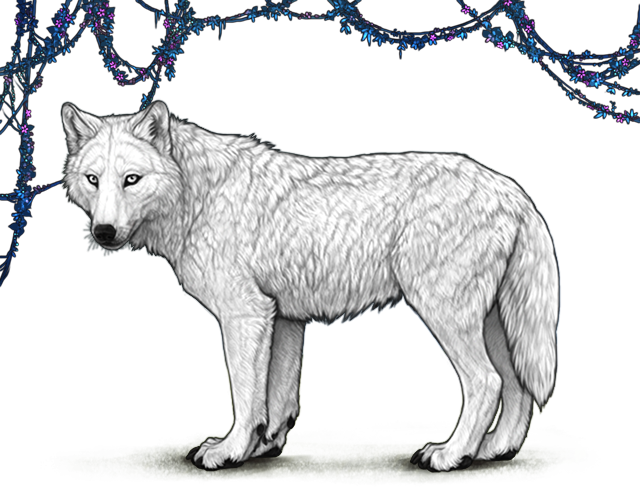 File:Wetlunarvines preview.png