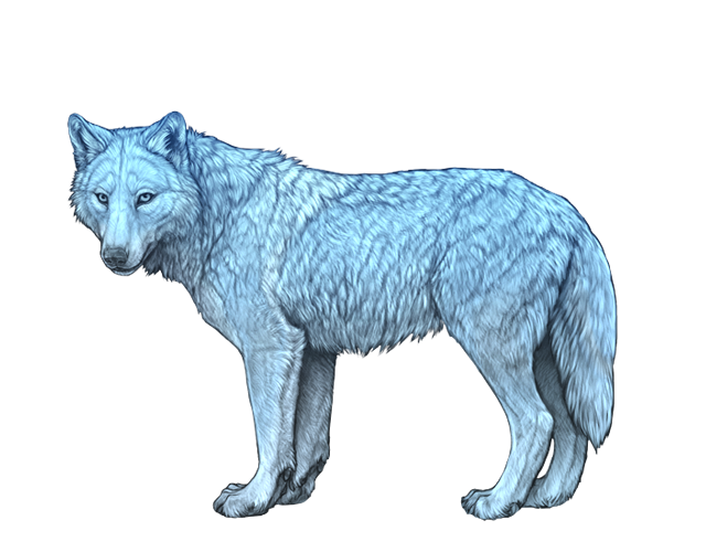 File:Base selene preview.png