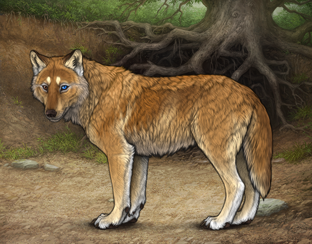 File:Rafflestud otsoaii.png