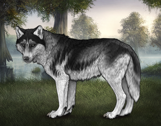 File:Rafflestud buckeye.png