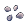 File:Seeds blueberry.png