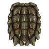 File:Turtleshell.png