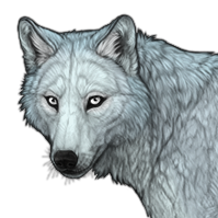 File:Base aquamarine headshot.png