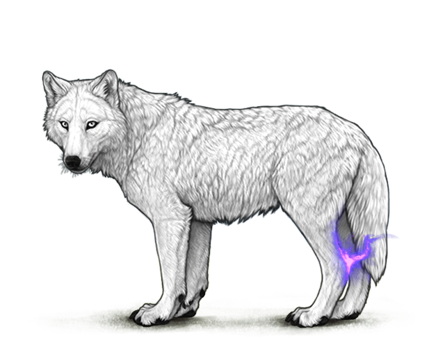 File:Purpleessenceflamesankles preview.png