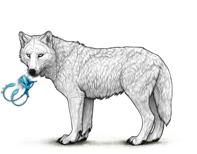 File:Lunarhummingbird preview.png