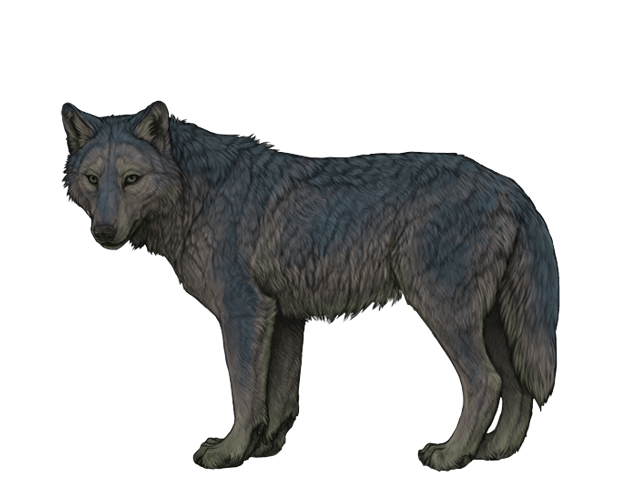 File:Base nocturne preview.png