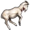 File:Dallsheep.png