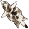 File:Pelt wolf piebald.png