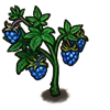 File:Fruit blackberry-blue.png