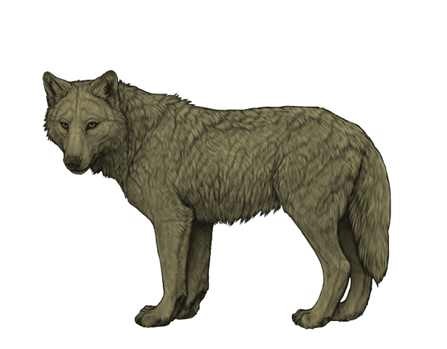 File:Base khaki preview.png