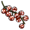 File:Crop chokecherry-spotted(1).png