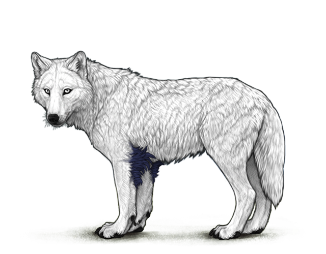 File:Purple lunarelbowtufts preview.png