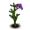 File:Flower bog-rosemary-purple.png