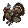 File:Turkey.png