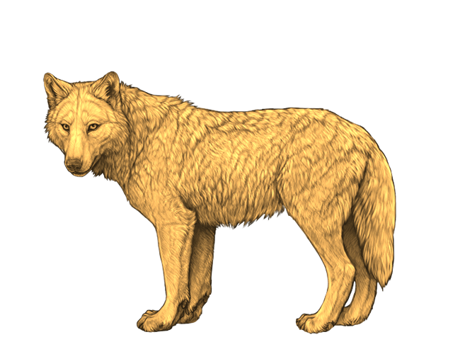 File:Base goldenrod preview.png