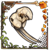 File:Remnantwalrusskull.png