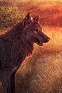 File:Tutorial 4 dusk.png