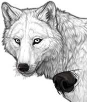 File:Nose grime preview.png