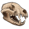 File:Skull bushdog.png