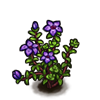 File:Flower purple-saxifrage.png