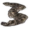 File:Skin anaconda.png