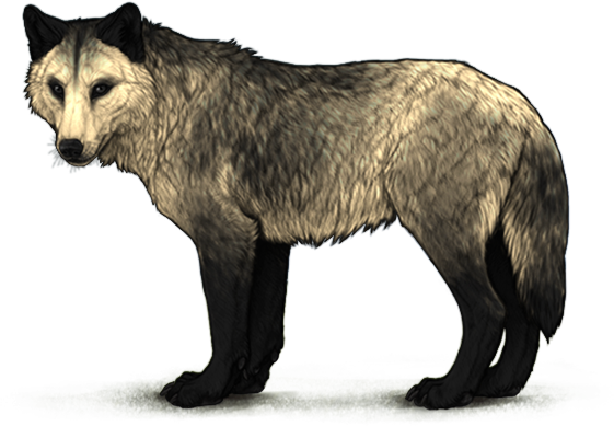 File:Marking invertedopossum beige preview adult.png