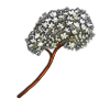 File:Meadowsweet.png