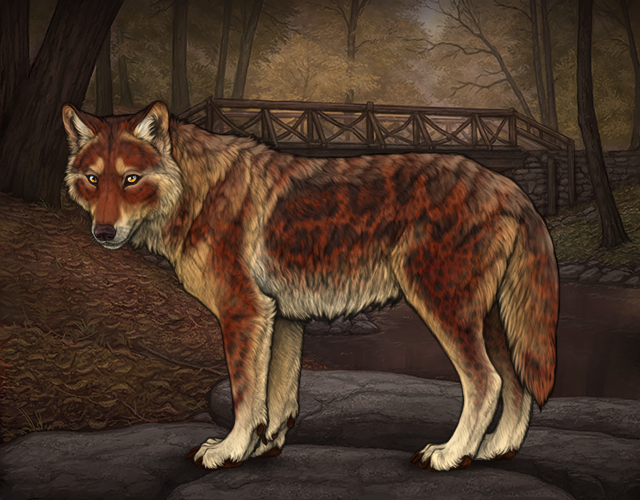 File:Rafflestud valentinoii.png